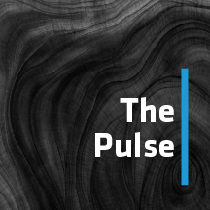 The Pulse Podcast Thumbnail