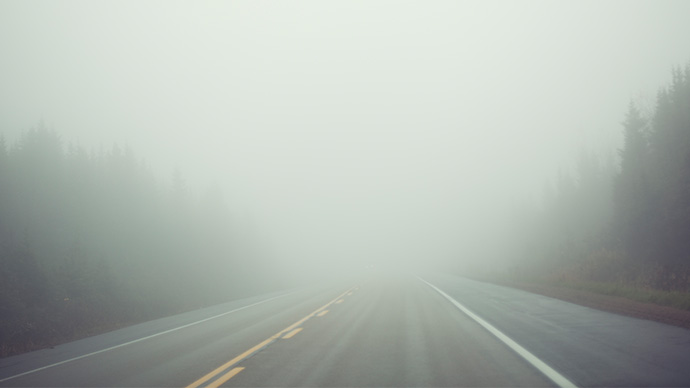 Foggy highway through forest