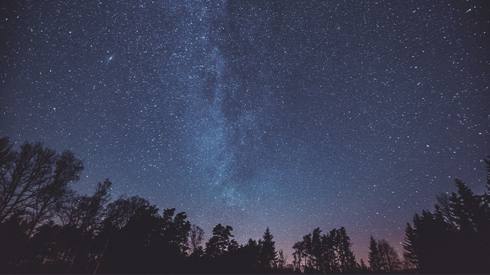 Beautiful night sky with Milky Way over forest. Night landscape.