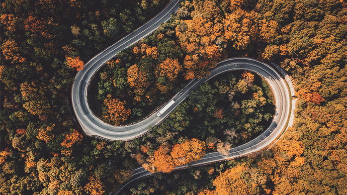 winding road through forest from above.