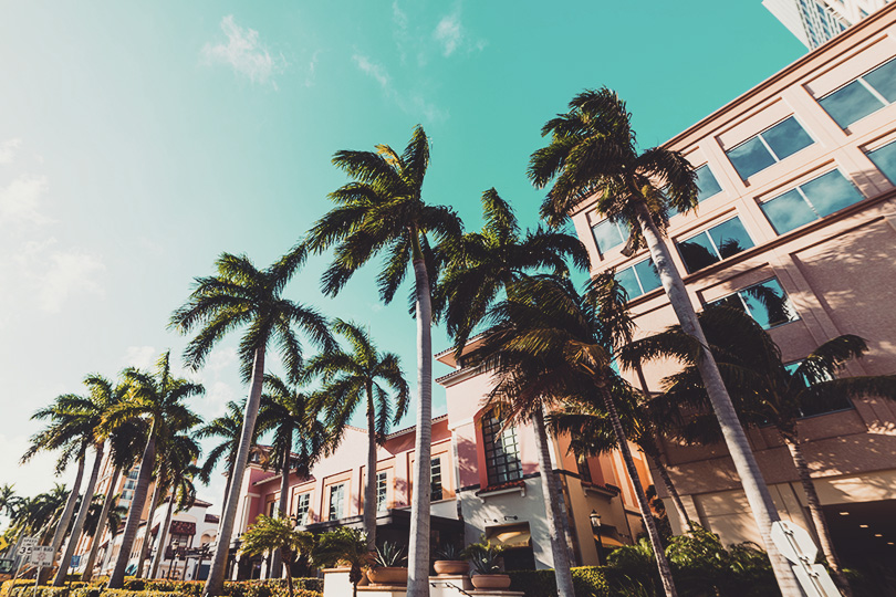 Palm trees and elegant buildings in West Palm Beach