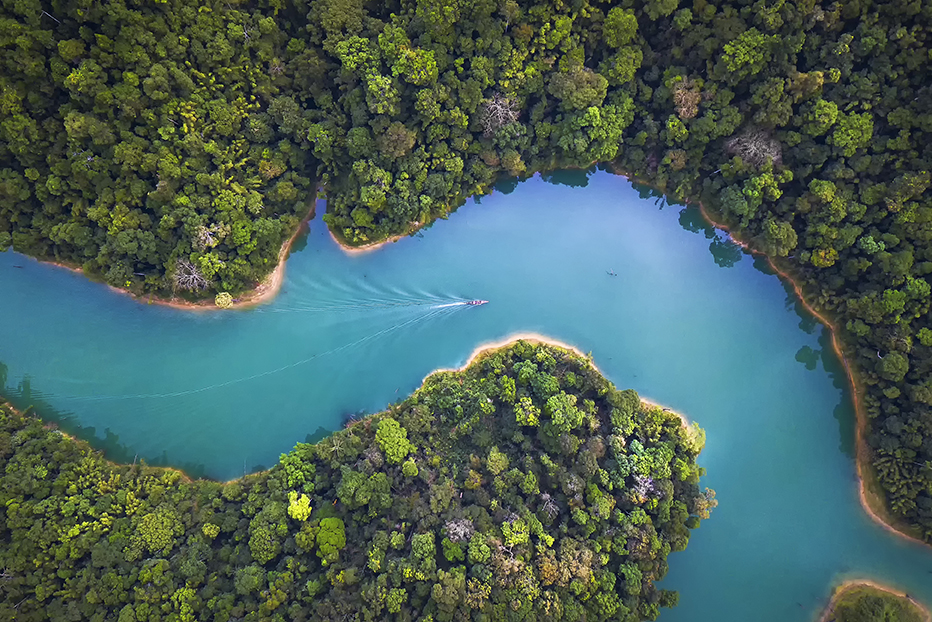 The boat drove through the canal along the dam amidst the richness of the forest.