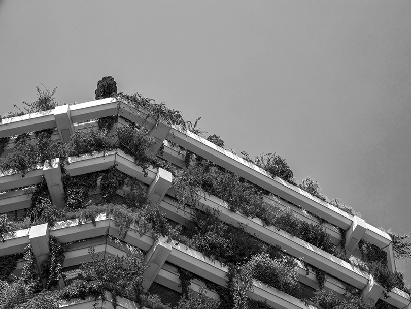 Investing Responsibly Sustainable Building with green vertical garden façade in the city with blue sky.