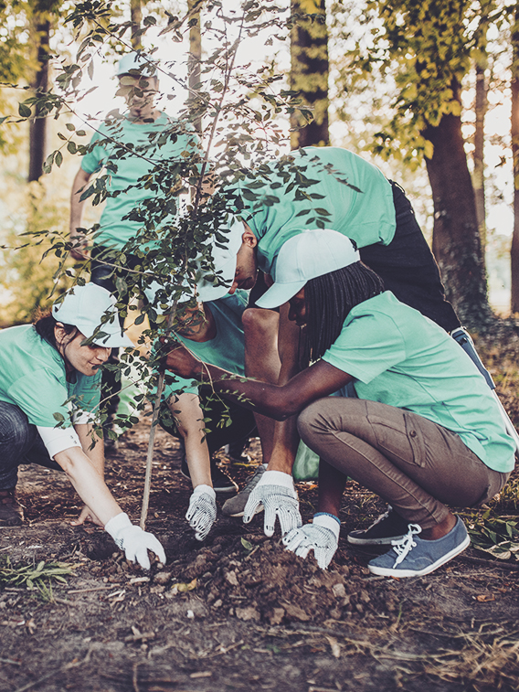 Multi-ethnic group of people, cleaning together in public park, saving the environment, disability man helping them.