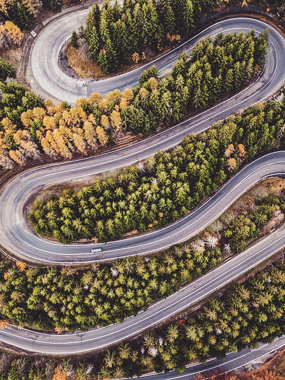 winding road trees with car