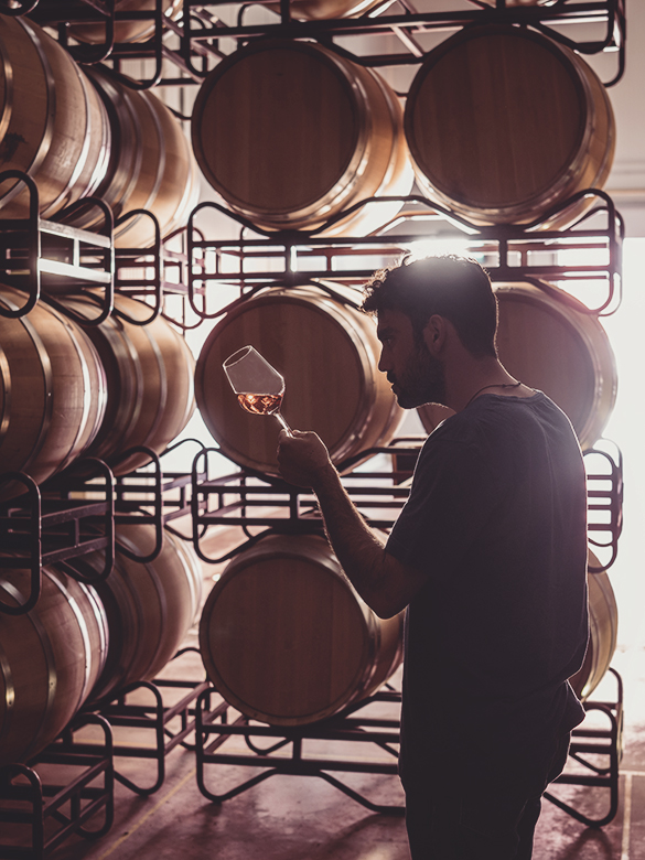 Young winemaker tasting wine at cellar winery in wine glass with oak barrels