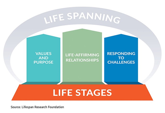 Life Stages Graphic
